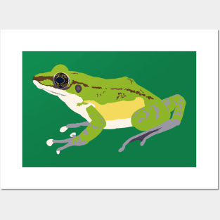 Hose's Frog Posters and Art